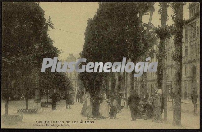 Paseo de los álamos, oviedo (asturias)