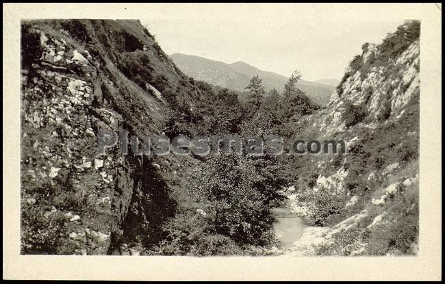 Picos de europa (asturias)