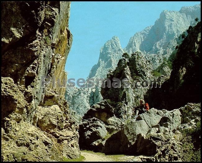 Garganta del cares en los picos de europa (asturias)