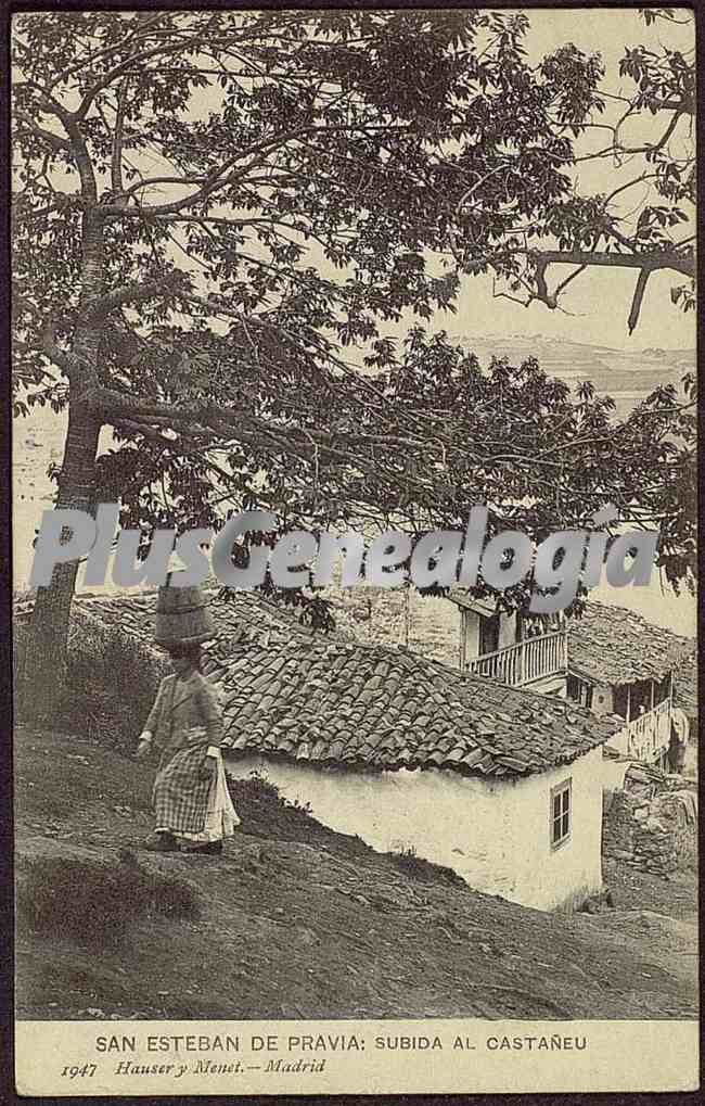 Subida al casatañeu, san esteban de pravia (asturias)