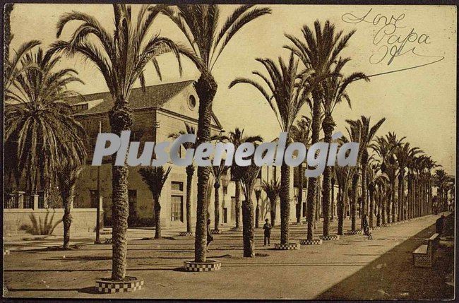 Paseo de las palmeras. cartagena (murcia)