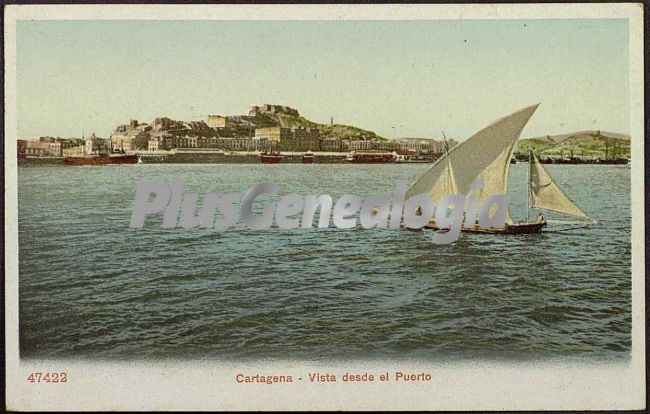 Vista del puerto. cartagena (murcia)