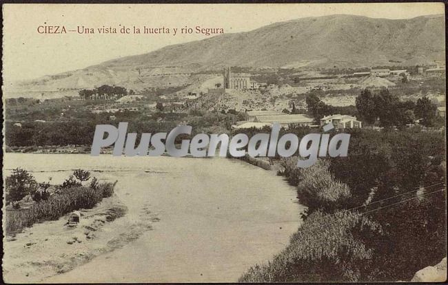 Vista de la huerta y río segura, cieza (murcia)