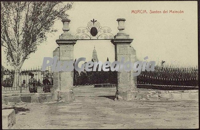 Santén del malecón, murcia