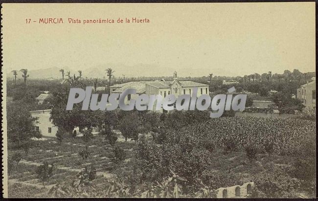 Vista panoramica de la huerta, murcia