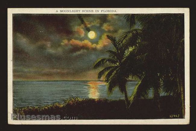 Foto antigua de FLORIDA