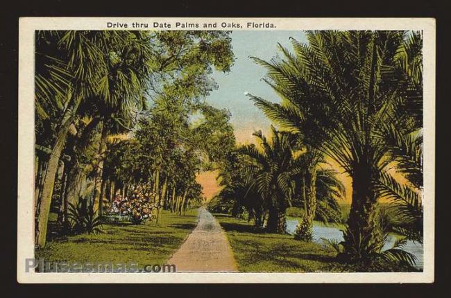 Foto antigua de FLORIDA