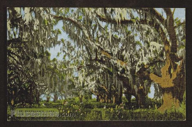 Foto antigua de LOUISIANA