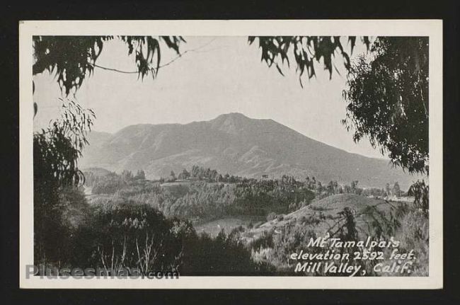 Foto antigua de VARIAS