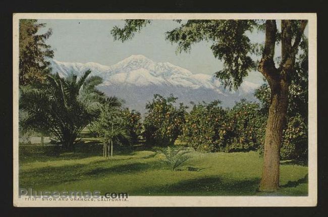 Foto antigua de VARIAS