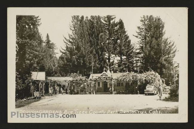 Foto antigua de VARIAS