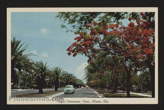 Foto antigua de VARIAS