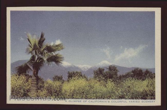 Foto antigua de VARIAS