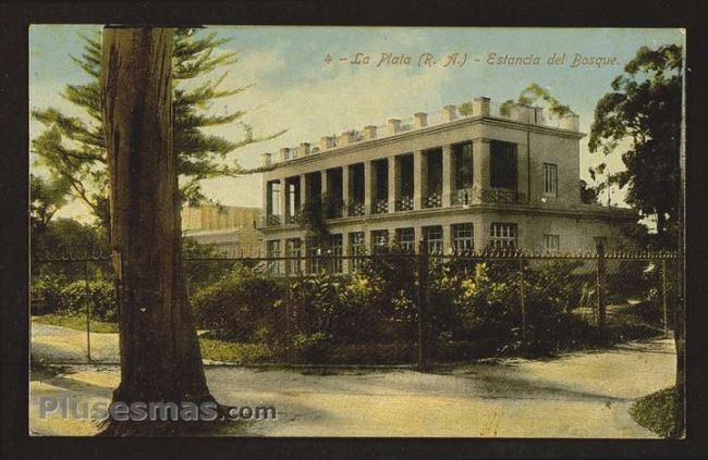 Foto antigua de LA PLATA