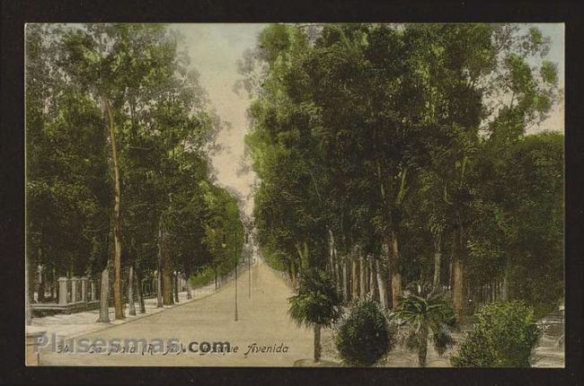 Foto antigua de LA PLATA