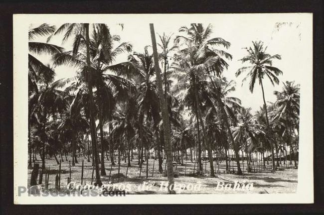 Foto antigua de BAHIA