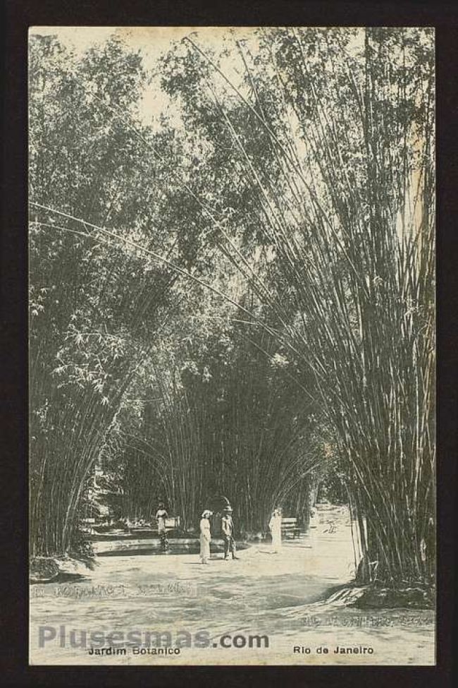 Foto antigua de RIO DE JANEIRO