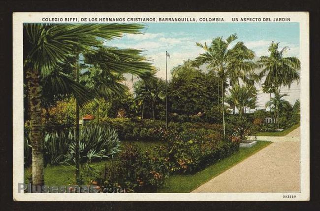 Foto antigua de BARRANQUILLA