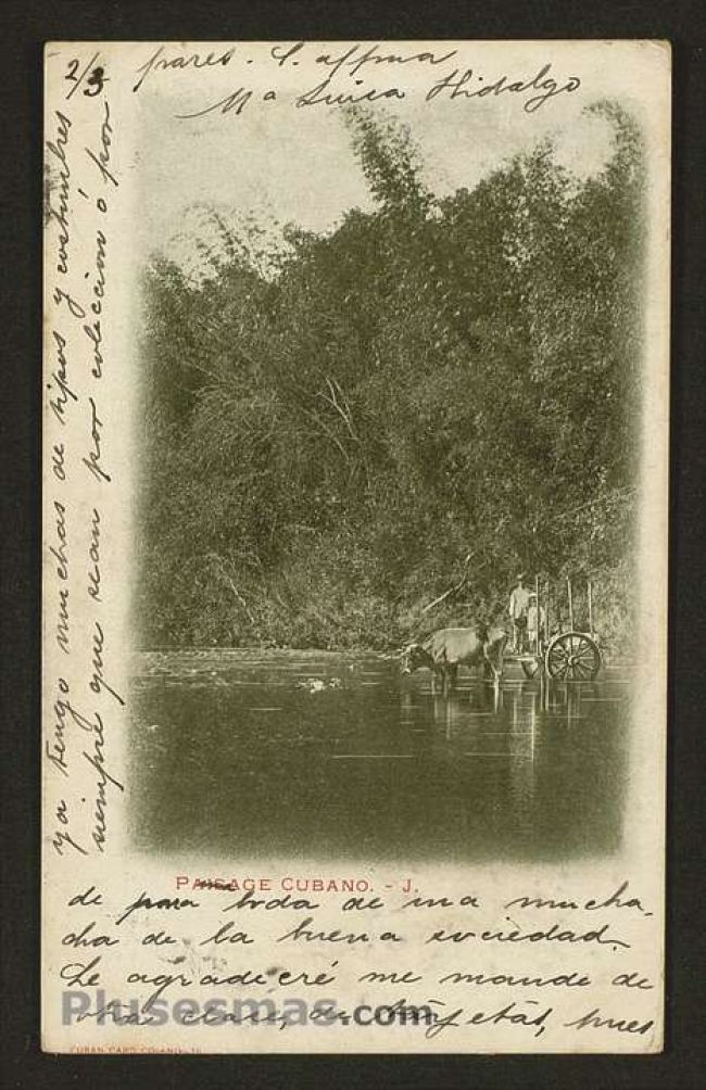 Foto antigua de PAISAJES CUBANOS