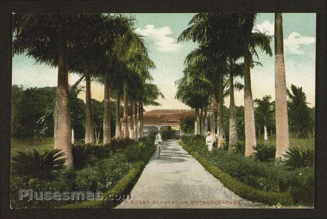 Foto antigua de PAISAJES CUBANOS