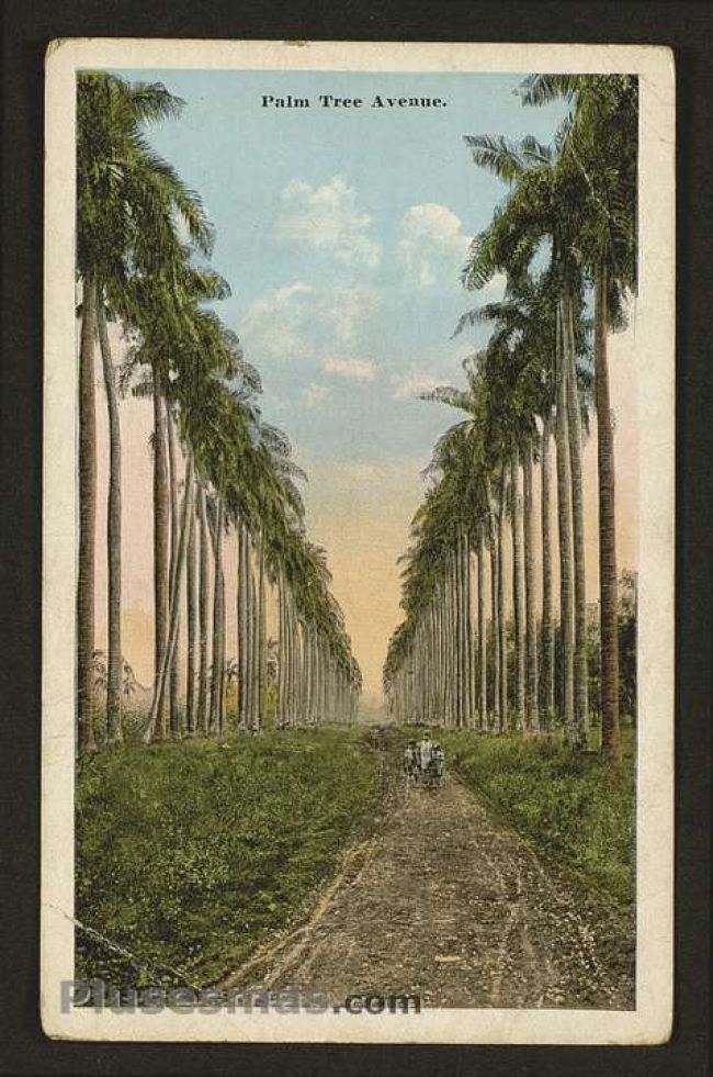 Foto antigua de PAISAJES CUBANOS