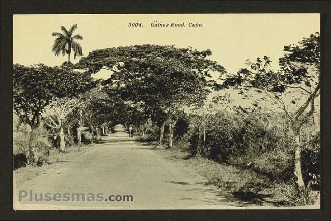 Foto antigua de PAISAJES CUBANOS