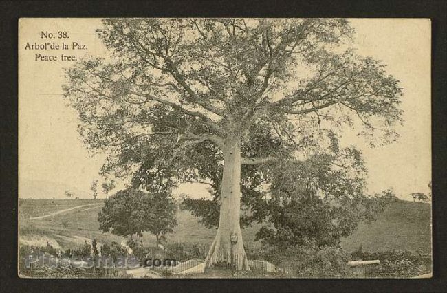 Foto antigua de PAISAJES CUBANOS