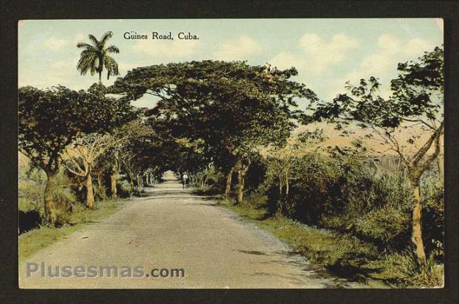 Foto antigua de PAISAJES CUBANOS