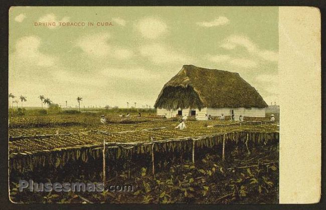 Foto antigua de PAISAJES CUBANOS