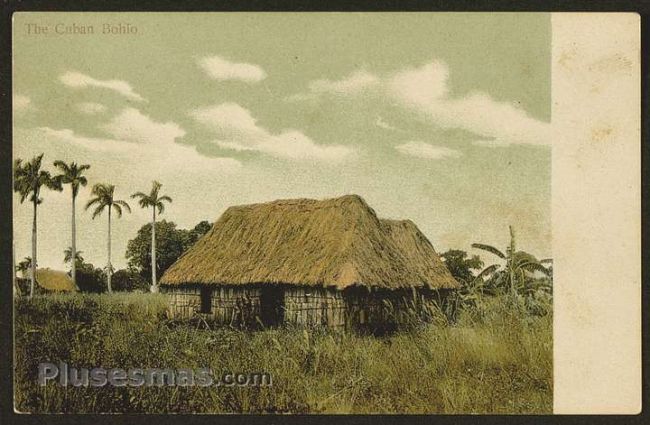 Foto antigua de PAISAJES CUBANOS