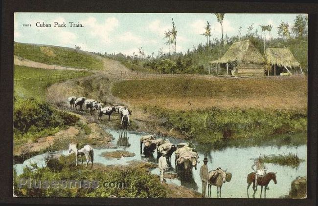 Foto antigua de PAISAJES CUBANOS