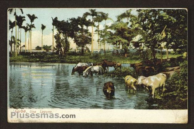 Foto antigua de PAISAJES CUBANOS