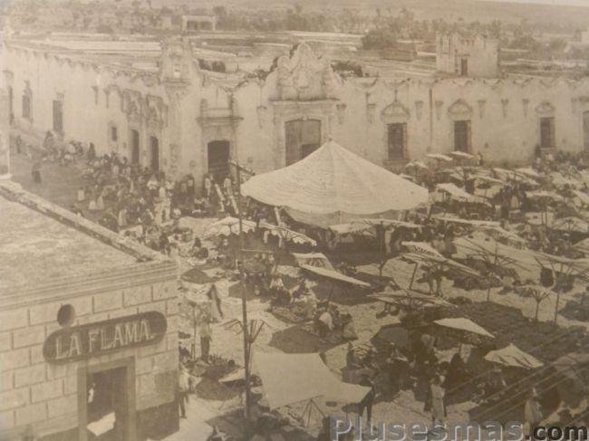 Casa de los perros apaseo el grande