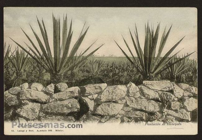 Foto antigua de YUCATÁN