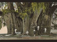 Foto antigua de OAXACA