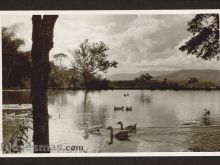 Foto antigua de BUCARAMANGA