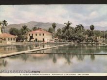 Foto antigua de CALI