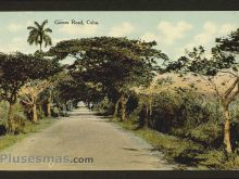 Foto antigua de PAISAJES CUBANOS