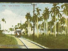 Foto antigua de PAISAJES CUBANOS