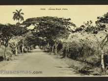 Foto antigua de PAISAJES CUBANOS