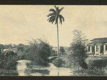 Foto antigua de PAISAJES CUBANOS