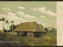 Foto antigua de PAISAJES CUBANOS