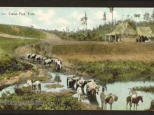 Foto antigua de PAISAJES CUBANOS