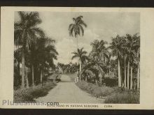 Foto antigua de LA HABANA