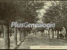 Avenida de la isla de burgos