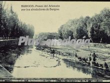 Paseo del arlanzón por los alrededores de burgos