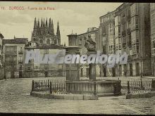 Fuente de la flora de burgos