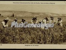 Religios trabajando en la huerta de venta de baños (palencia)