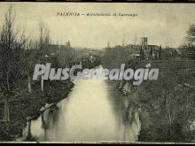 El cuernago en los alrededores de palencia