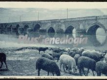 Vista general del puente romano sobre el río duero a su paso por toro (zamora)